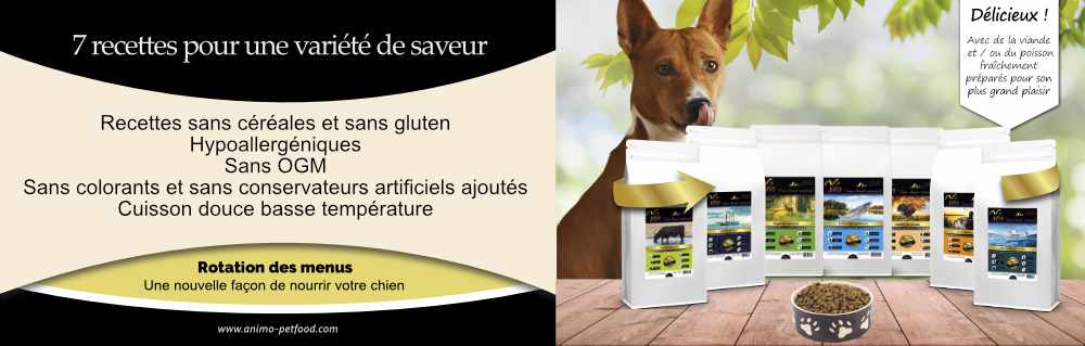 croquettes-sans-cereales-et-sans-gluten-pour-chien